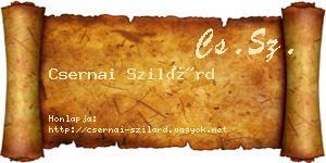 Csernai Szilárd névjegykártya